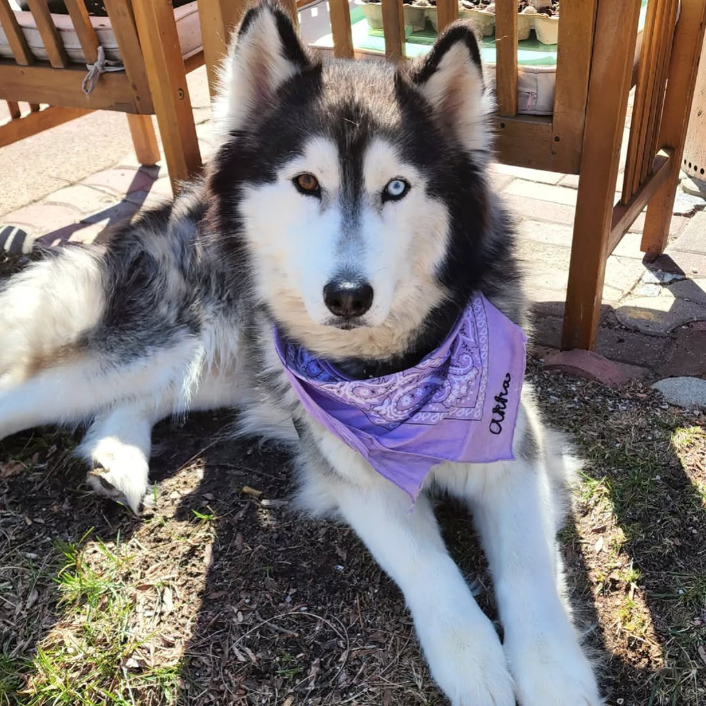 Customized Vintage Bandana image 2